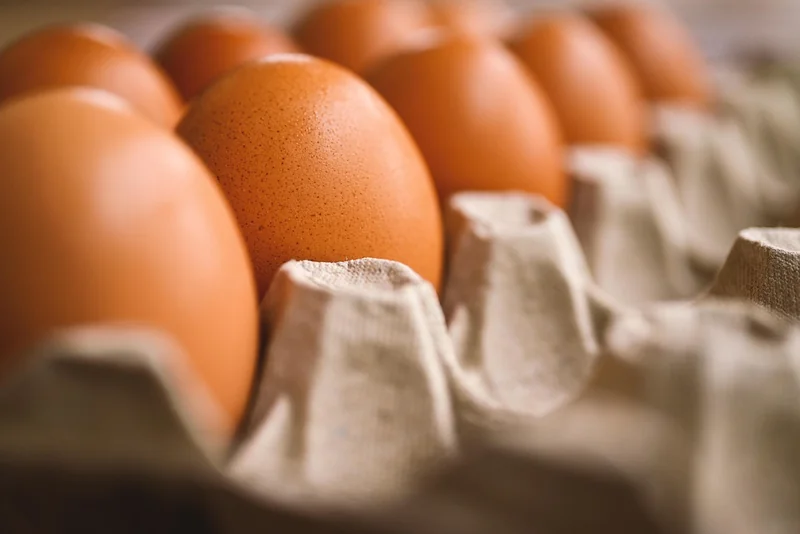 Performances en cuisson : le vrai test en cuisine