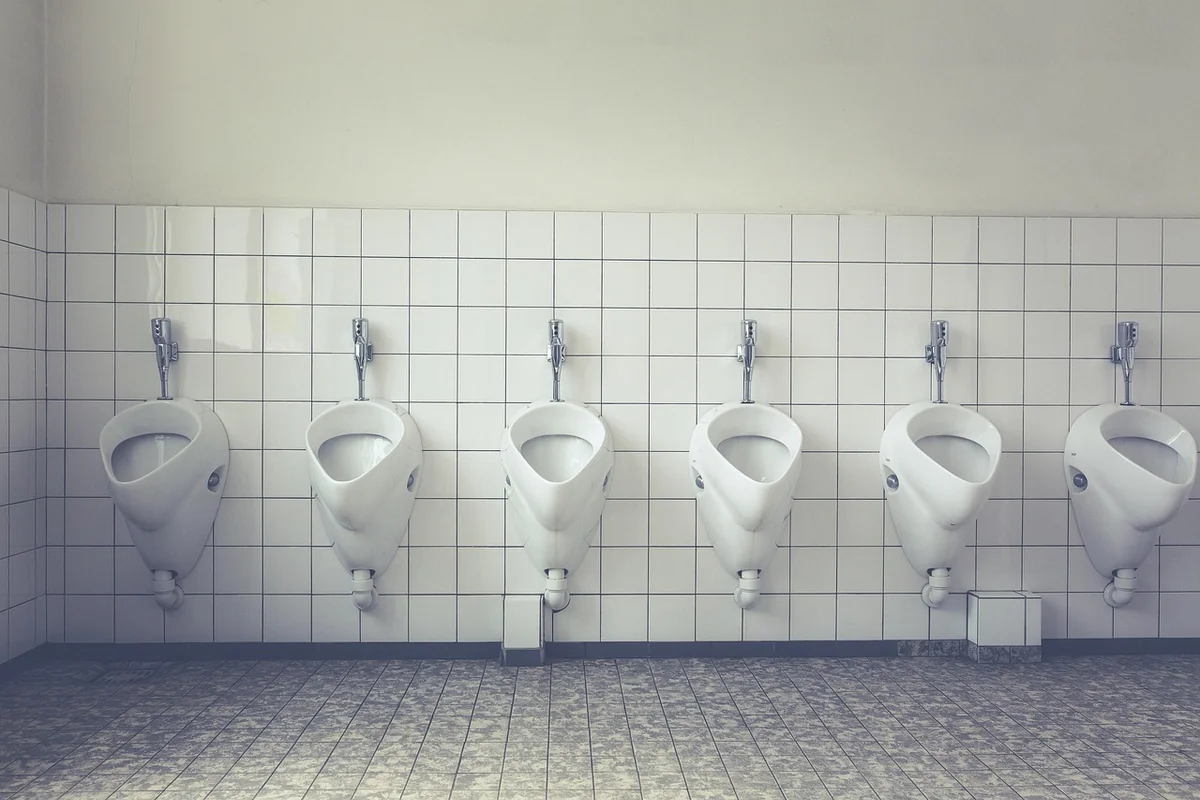 Causes principales : pourquoi ils apparaissent dans vos toilettes