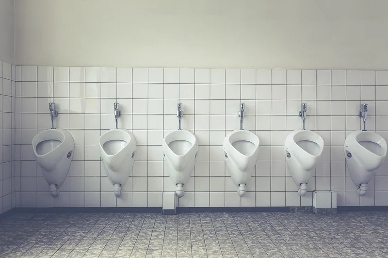 Causes principales : pourquoi ils apparaissent dans vos toilettes