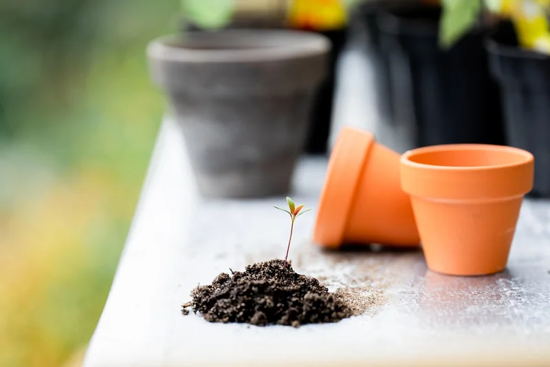 Les outils de jardinage : le vrai test sur le terrain