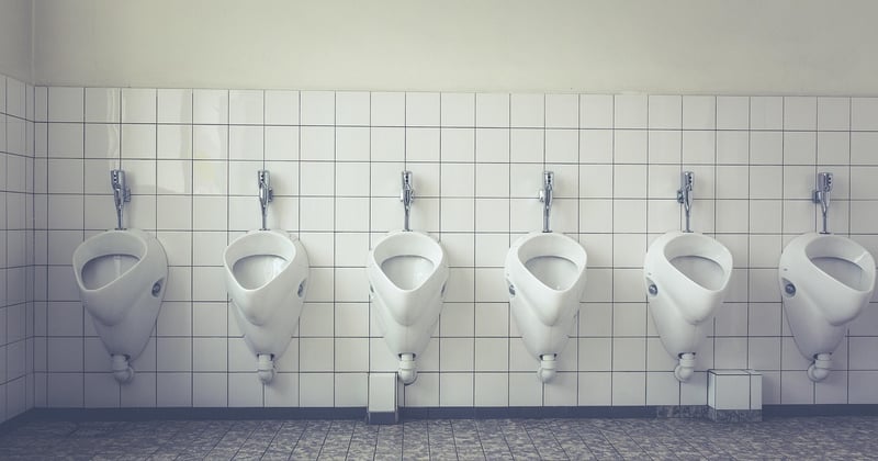 Vers dans les toilettes : les solutions radicales pour en finir définitivement