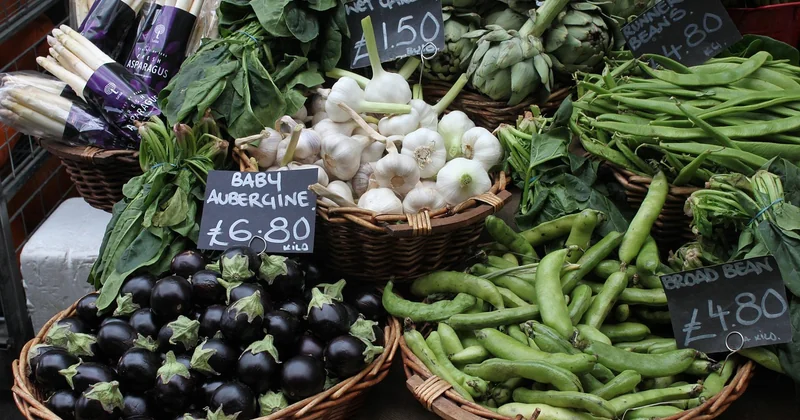 Comment comparer les prix entre loueurs : la méthode qui marche